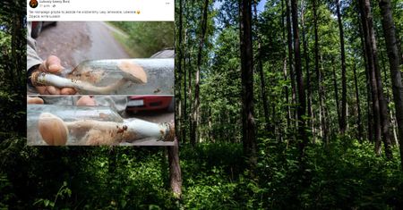 Internauci przecierali oczy ze zdumienia. Bardzo smutny widok