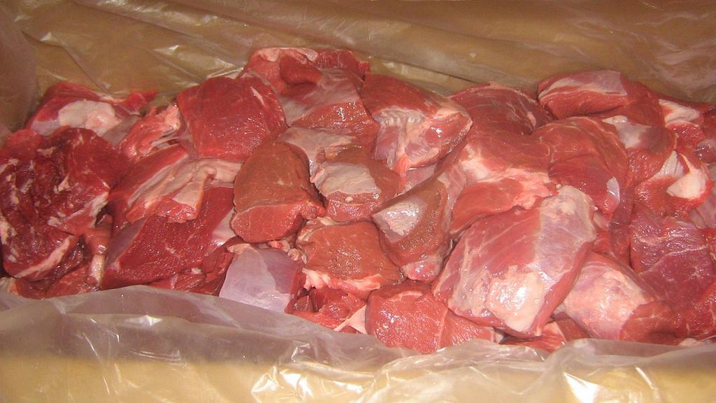 Surowa goleń z jagnięciny australijskiej (mięso i tłuszcz)