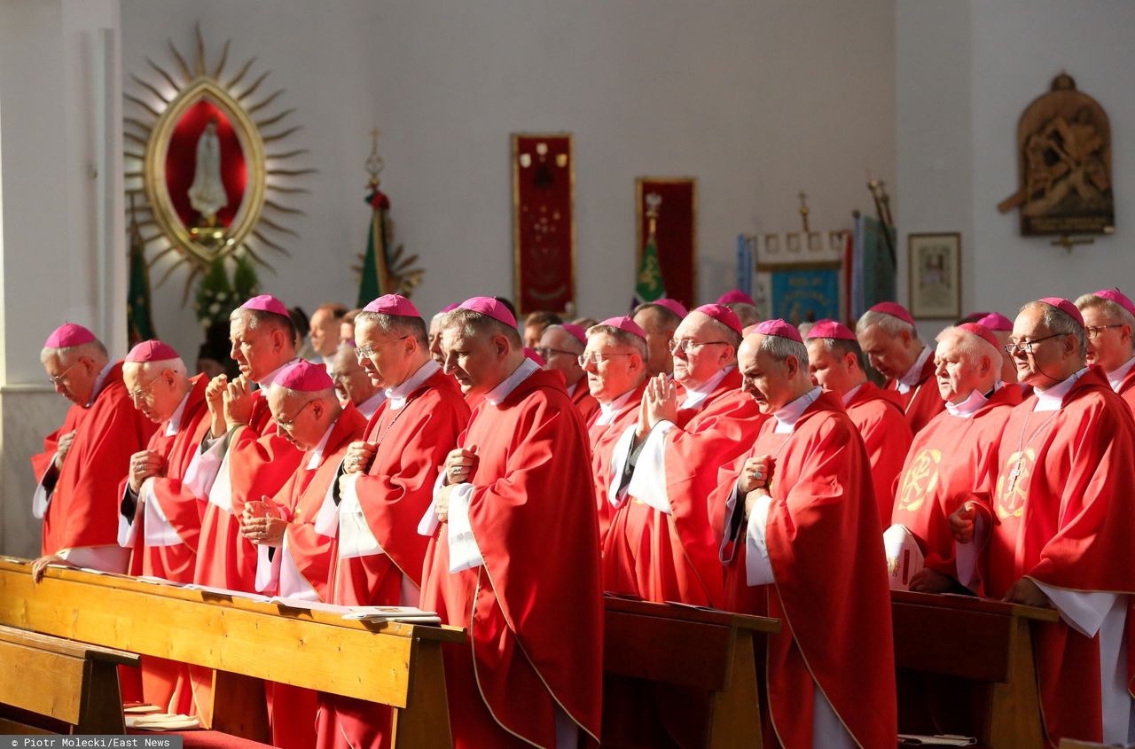 Pedofilia w Kościele. Przełom na KEP w Częstochowie? "Biskupom nie zależy na zmianie"