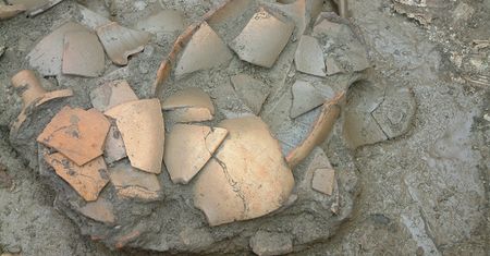 Ziemia Lubuska pełna skarbów. Niezwykle cenne odkrycie archeologiczne w regionie