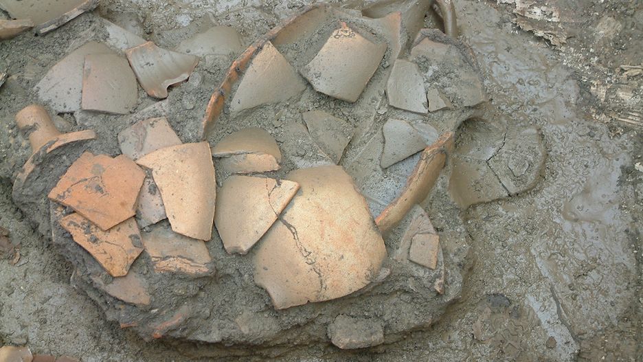 Jakie skarby z przeszłości odnaleziono w Lubuskiem?