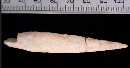 Archeolodzy znaleźli grot strzały z biblijnej bitwy. Natrafili na niego w rodzinnym mieście Goliata