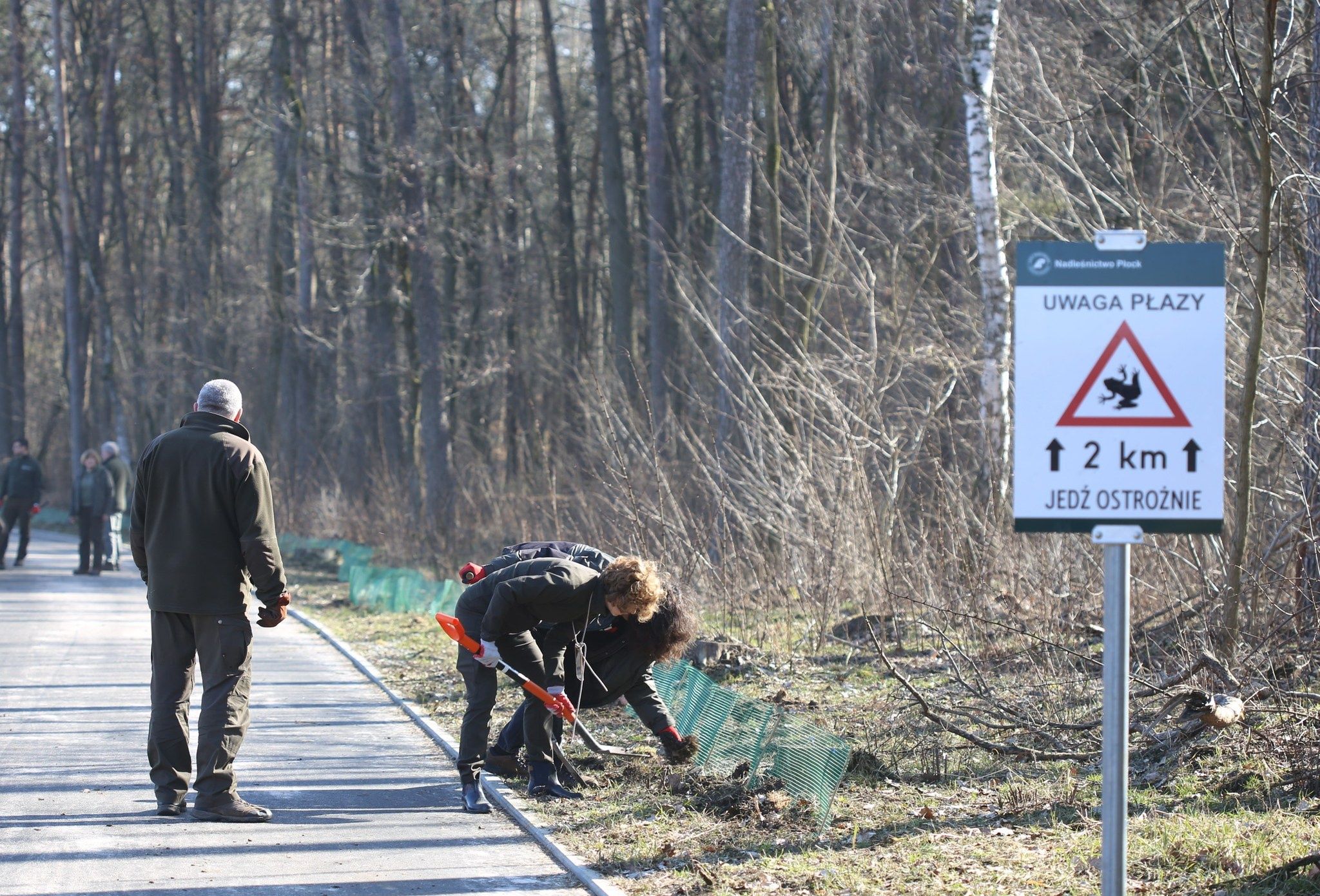 Zakładanie siatek