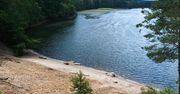 Tak wygląda dzika plaża w Janowie na terenie Bydgoszczy. Raj dla amatorów ciszy i natury