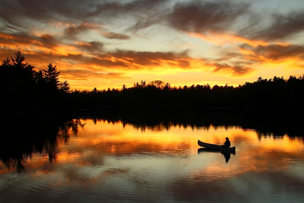 Piękna amerykańska przyroda na zdjęciach konkursu Wilderness Forever 5