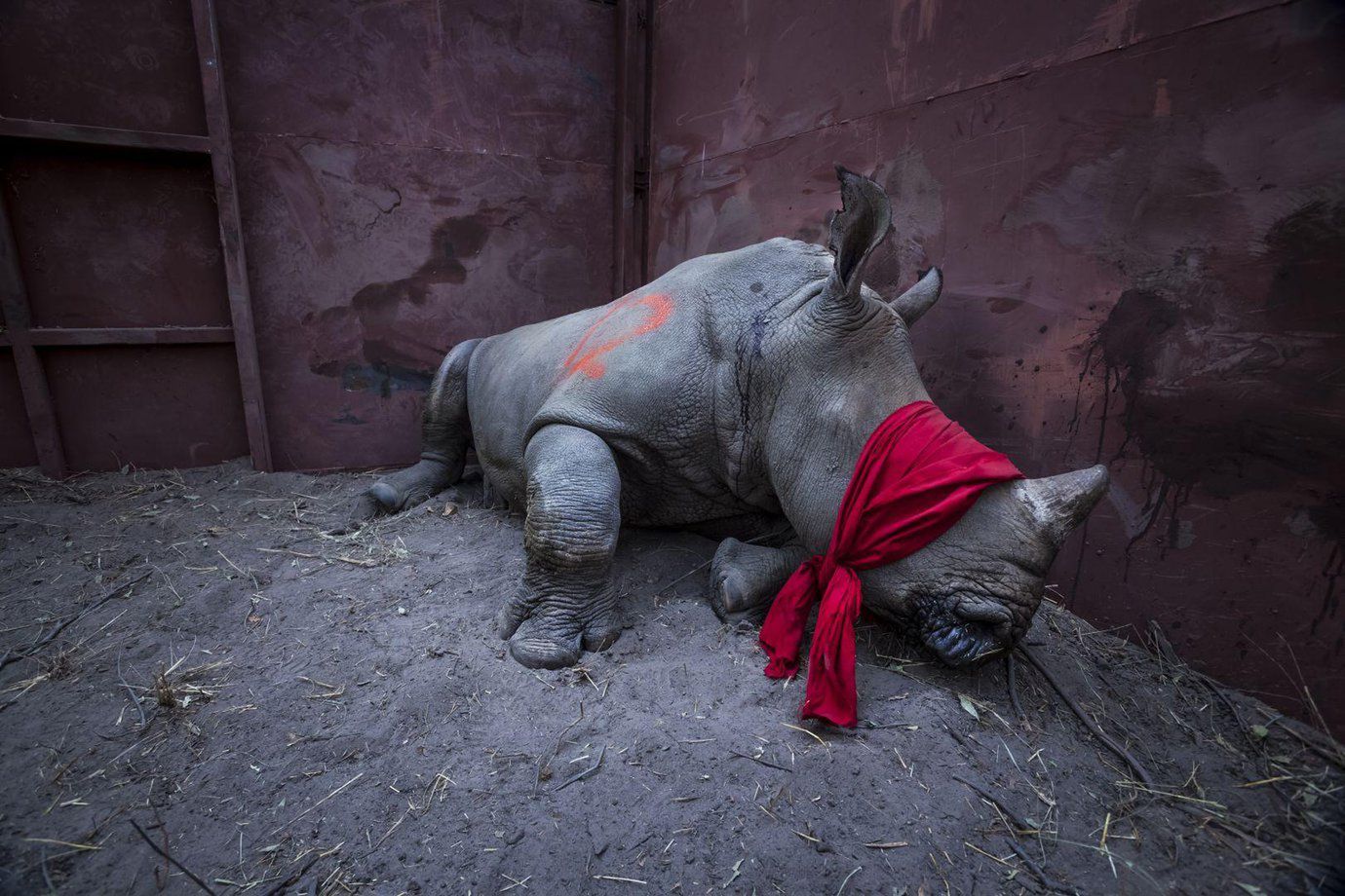 Niedługo rusza nabór na World Press Photo 2019. Poznaj zmiany w regulaminie 4