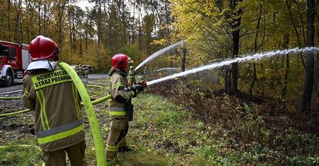 Pożar lasu i poszkodowani nad Zalewem Zemborzyckim. Ponad setka strażaków w akcji | ZDJĘCIA