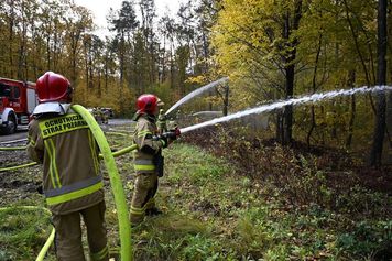 Pożar lasu i poszkodowani nad Zalewem Zemborzyckim. Ponad setka strażaków w akcji | ZDJĘCIA