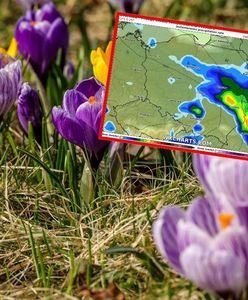 Rozpoczęła się kalendarzowa wiosna. Jest prognoza IMGW na weekend