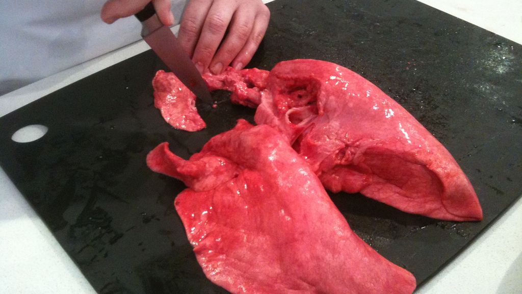 Surowe płuca jagnięce