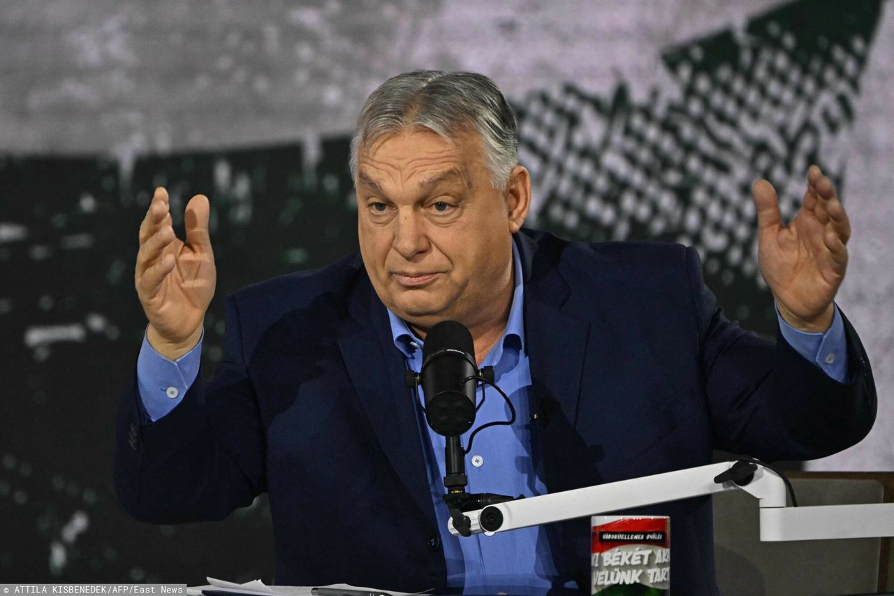 "Najcenniejsze zamrożone aktywo". Ukraiński minister kpi z Orbana