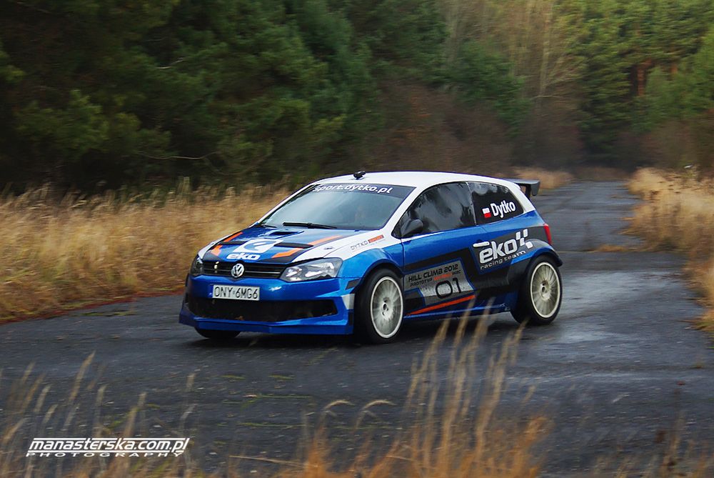 VW Polo WRC