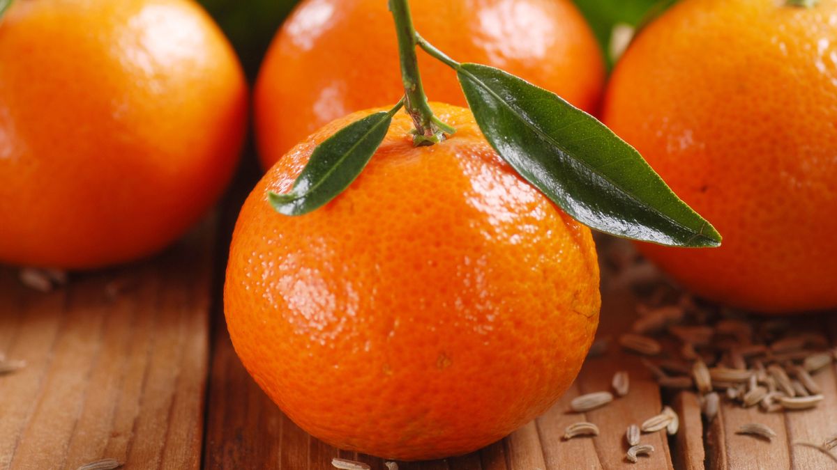 Czym jest klementynka? 