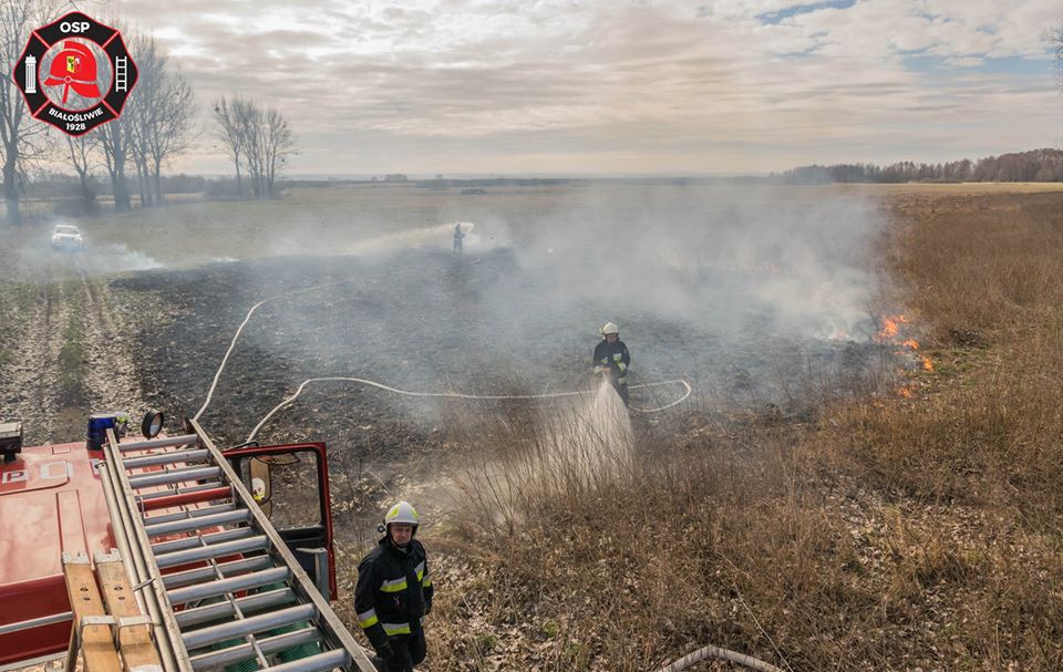 Paliły się trawy koło Białośliwia