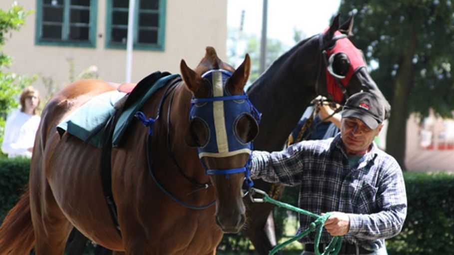 W piątek rozpocznie się 42. Narodowy Pokaz Koni Arabskich Czystej Krwi.