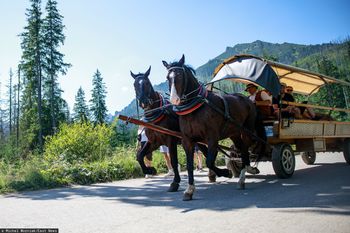 Majówka bez rewolucji na trasie do Morskiego Oka. Zostają wozy konne