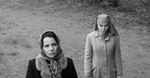 "Ida" i polskie dokumenty nominowane do Oscara