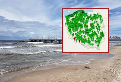 Zakaz kąpieli w Bałtyku. Przez sinice zamknięto kolejne plaże