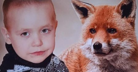 3-latek spędził w lesie dwie noce. Był 7 km od domu