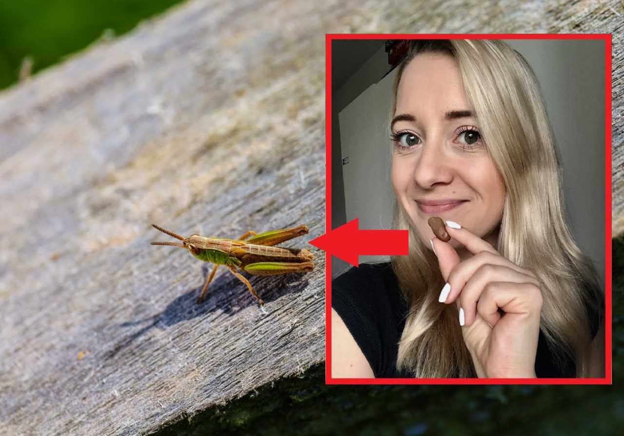 Producenci przekonują, że jedzenie owadów to nie tylko ogromna korzyść dla zdrowia, ale również dla naszej planety.