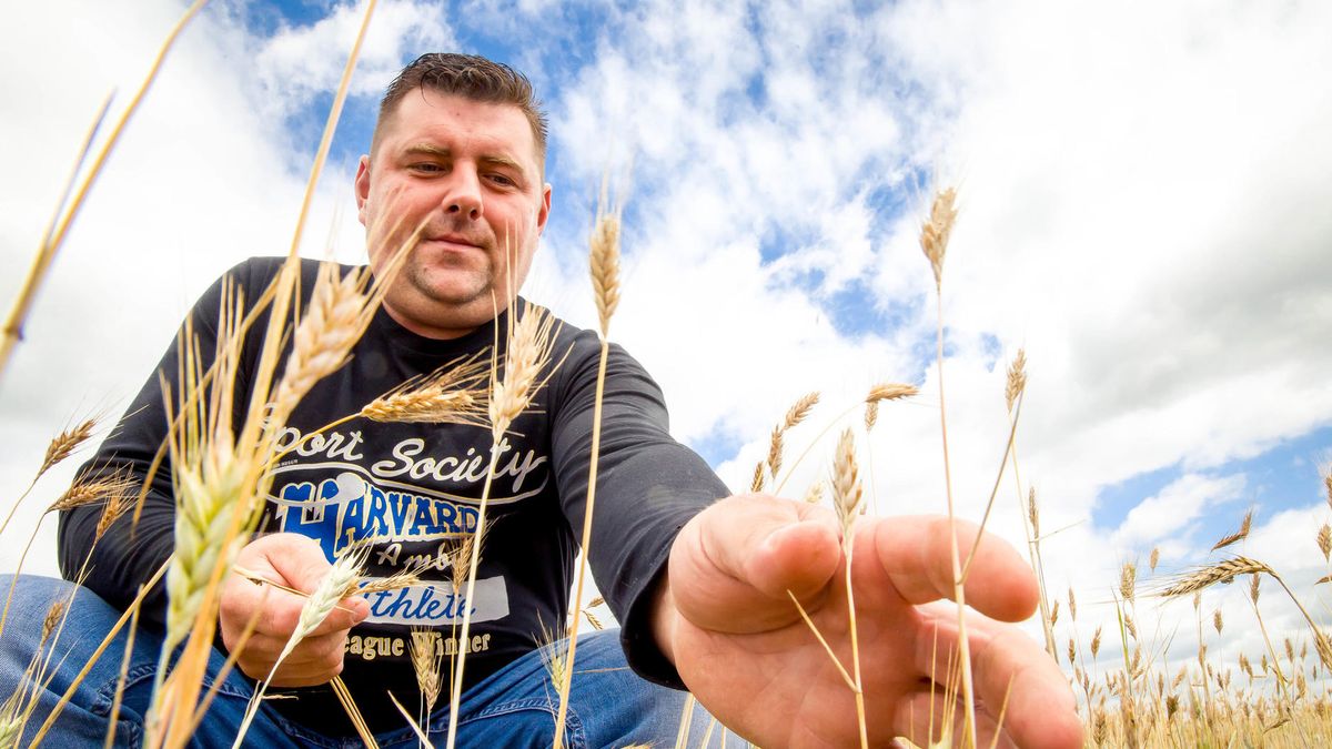 Rząd wypłacił pierwsze pieniądze dla poszkodowanych przez suszę.