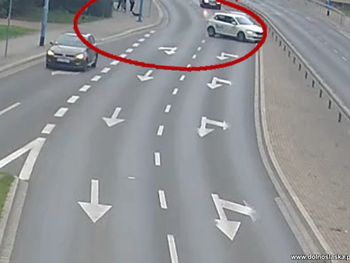 Legnica: Pies wbiegł na jezdnię. Doszło do groźnego zdarzenia drogowego