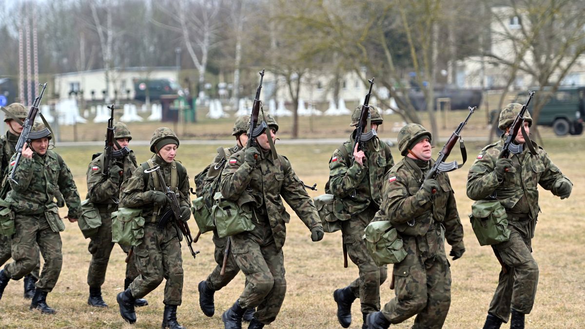 Ile kosztuje wyszkolenie rezerwisty? Żołnierze zgłaszający się do Wojsk Obrony Terytorialnej