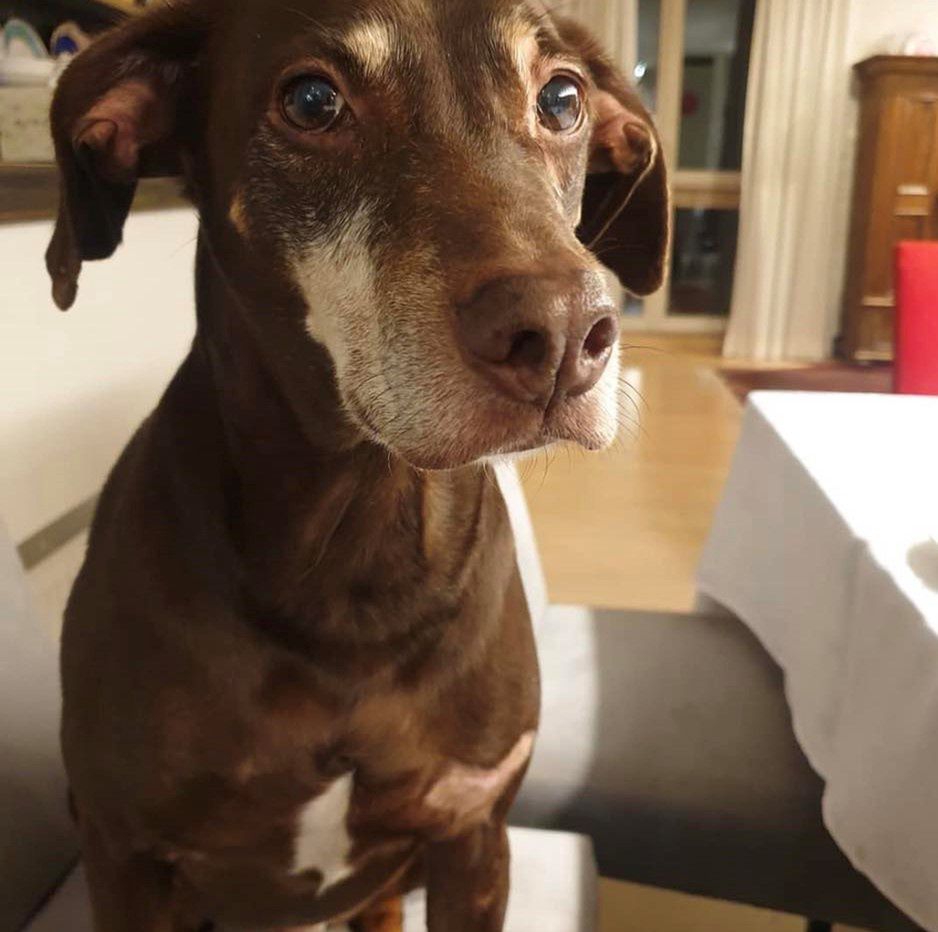 Tak mieszka Katarzyna Bosacka