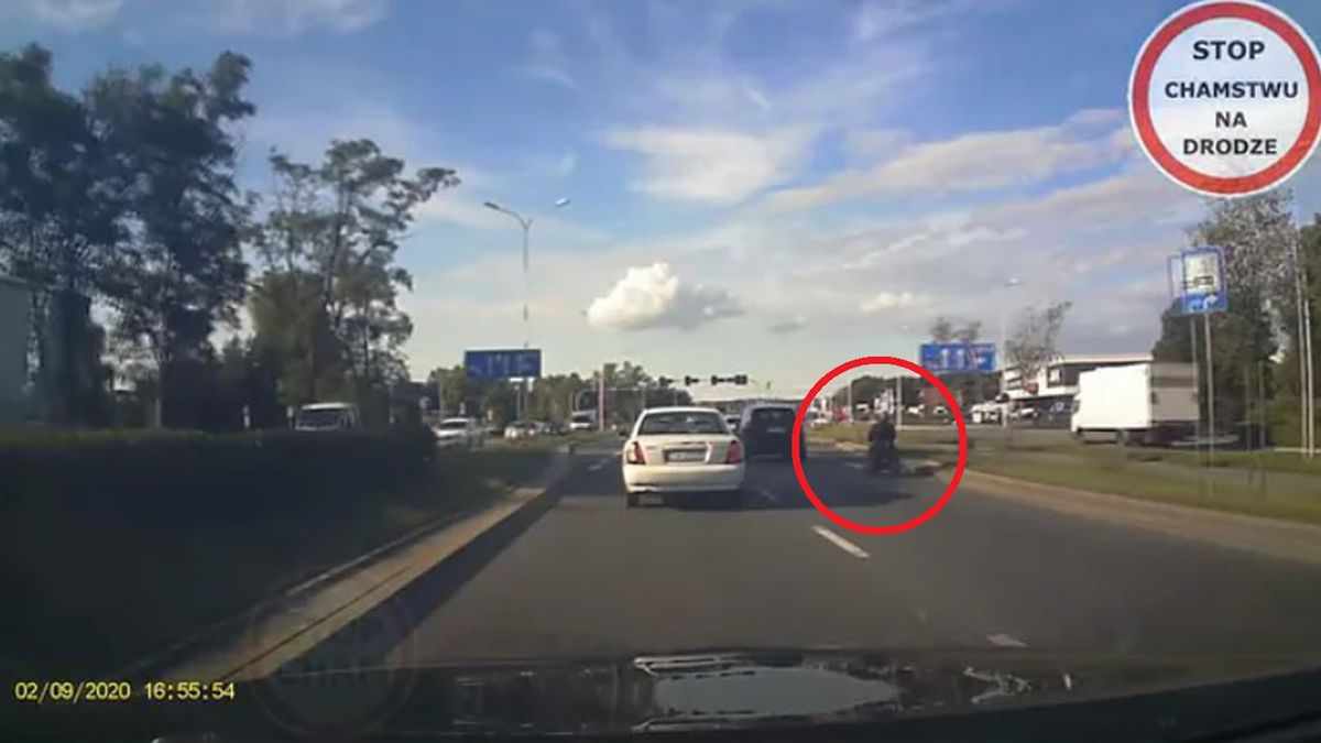 Wózek inwalidzki na drodze