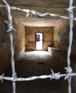 Pracowała dla komendanta KL Stutthof. Media: ma postawione zarzuty