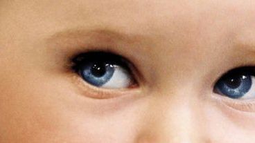 Cudowne dziecko [zwiastun] 1