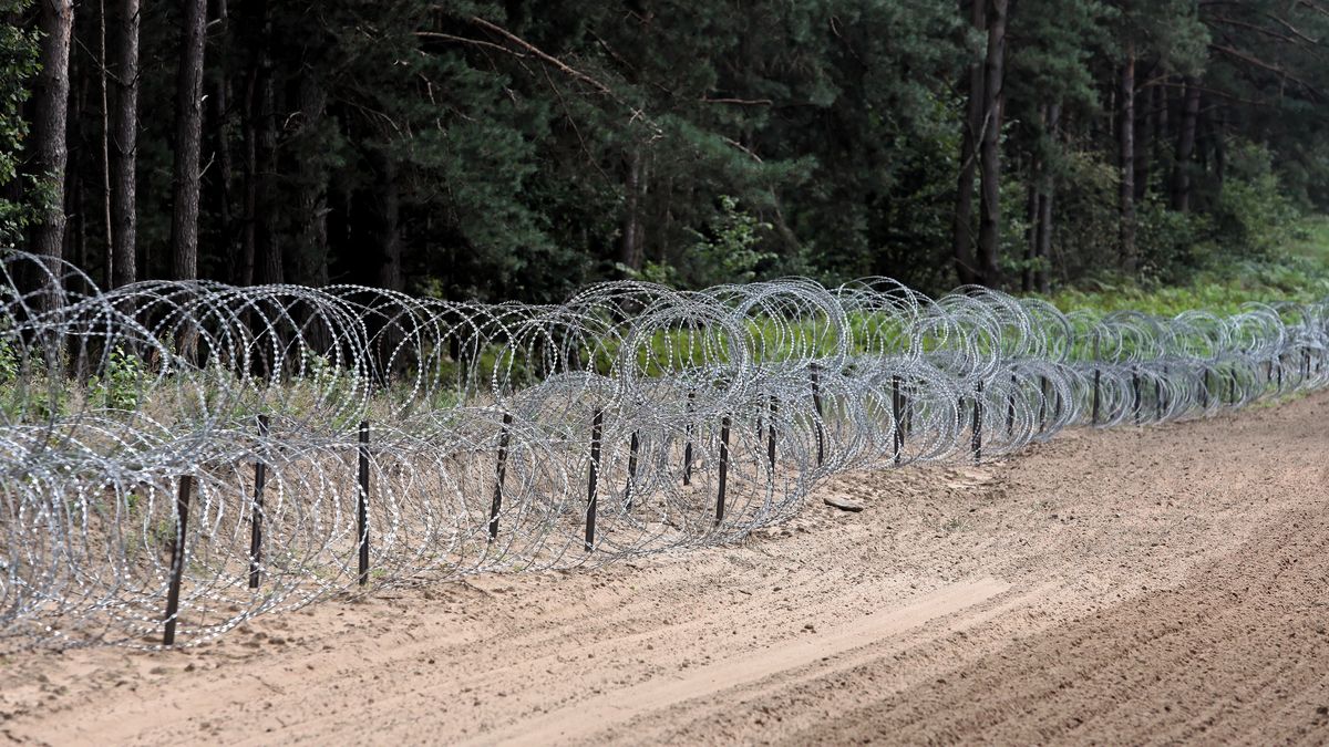 Poseł Nowej Lewicy apeluje o wykorzystaniu innego drutu do budowy płotu na granicy z Białorusią 