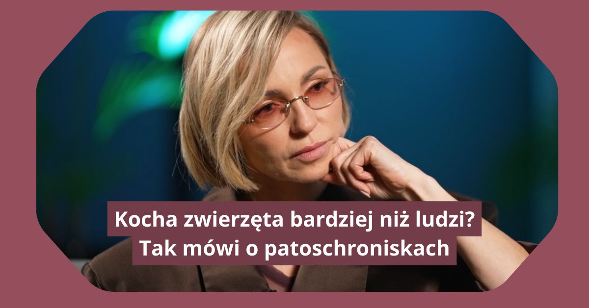 Kocha zwierzęta bardziej niż ludzi? Tak mówi o patoschroniskach