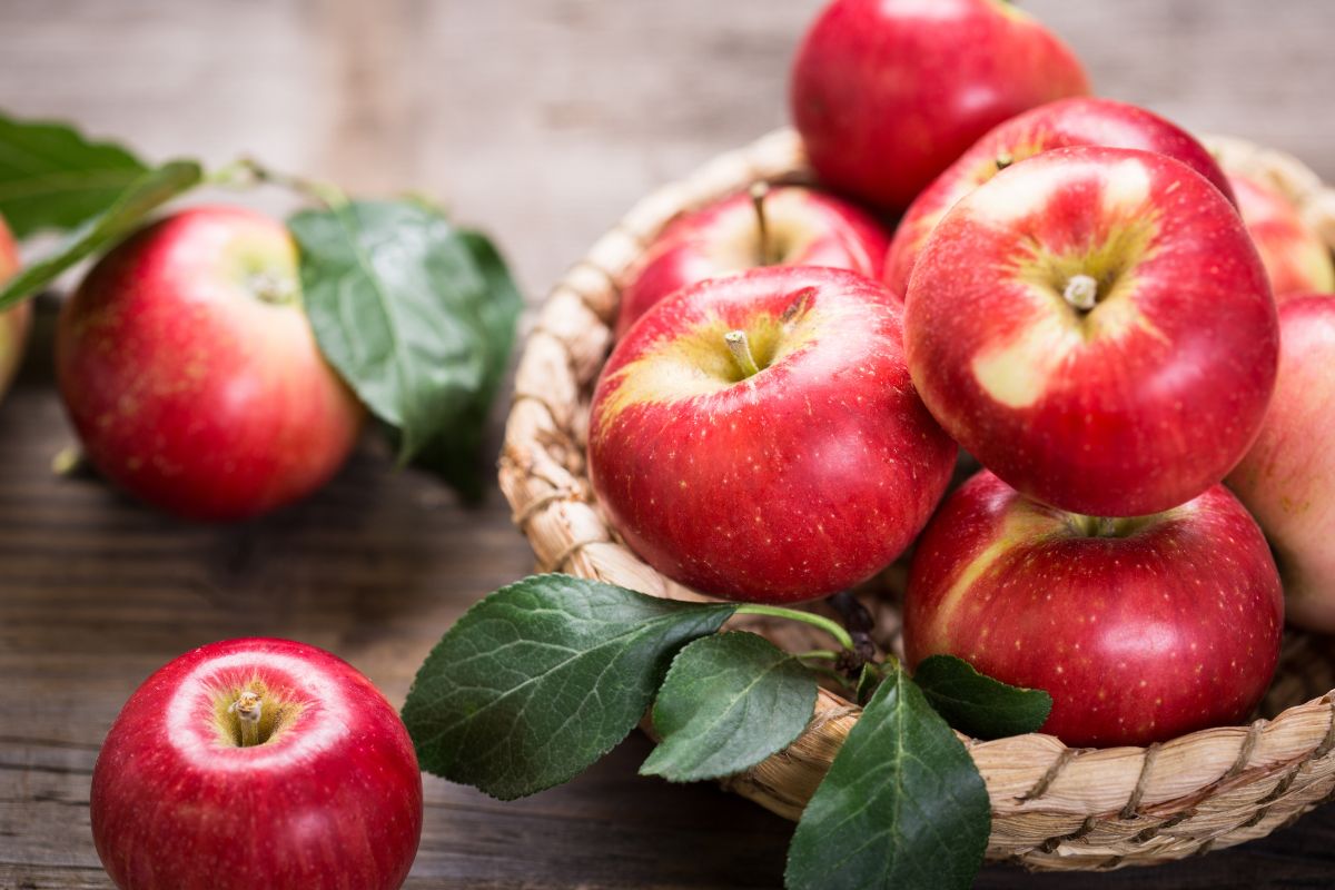 Na bazie jabłek można zrobić szybki i smaczny deser
