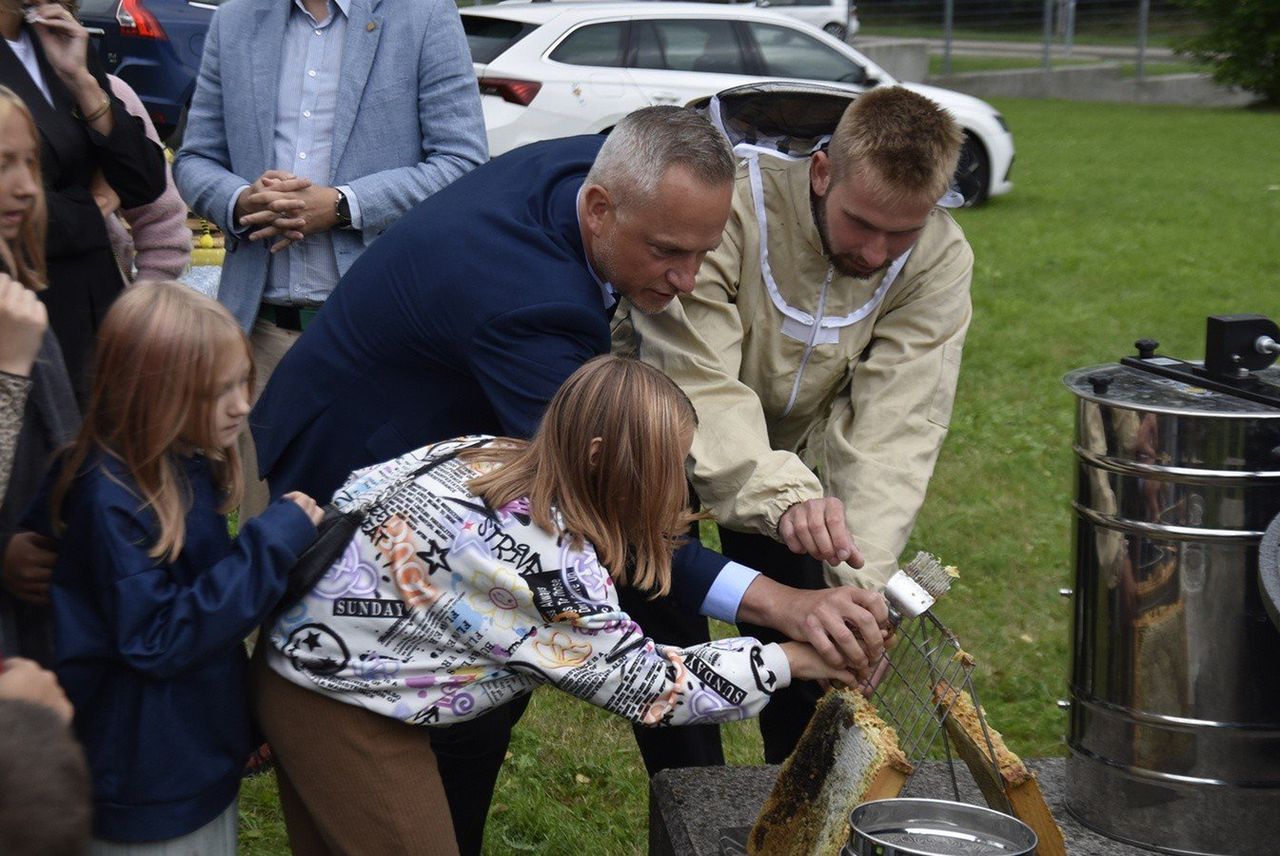 Wałbrzych: Popłynął miód w miejskiej pasiece z recyklingu. To czwarte miodobranie w Starej Kopalni. Zdjęcia