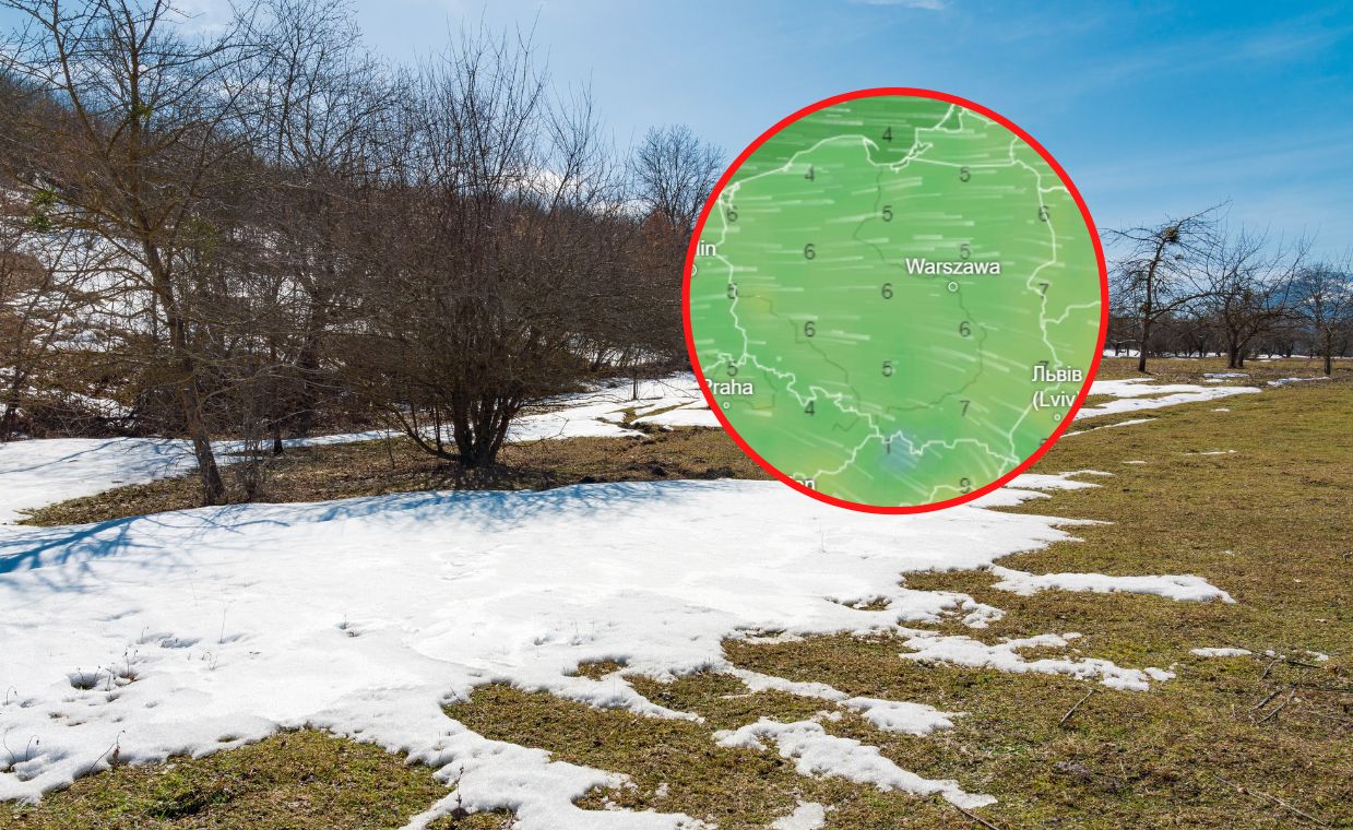 O stopni i śnieg. Do Polski dotrze arktyczne powietrze