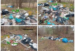 "Ten haniebny proceder trwa od lat". Tak pozbywają się śmieci