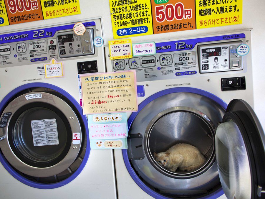 Rejon Fukushimy (Fot. Business Insider/AP Photo/David Guttenfelder)