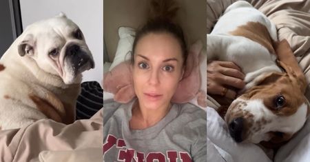 Małgorzata Rozenek "wraca Z ZAŚWIATÓW", informując o przebytej chorobie. "Nie ukrywam, że nie było łatwo"
