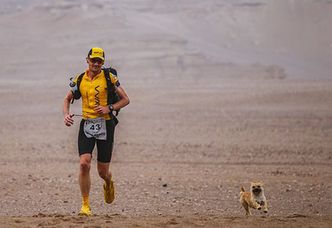 Bezdomna suczka biegła za maratończykiem... ponad 170 kilometrów przez pustynię (ZDJĘCIA)