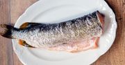 Szczupak – wygląd, występowanie i pomysły na dania