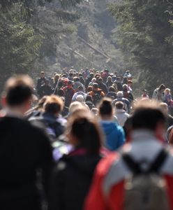 Polacy oszaleli na punkcie wyjątkowego zjawiska. Gigantyczne kolejki do wejścia