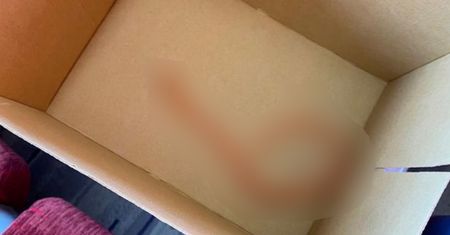 Pasażer poczuł, że coś dotknęło jego łydki w pociągu. Nagle wrzasnął