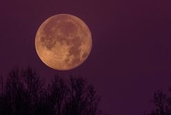 Różowy Księżyc. Jeszcze w kwietniu pierwsza w tym roku superpełnia