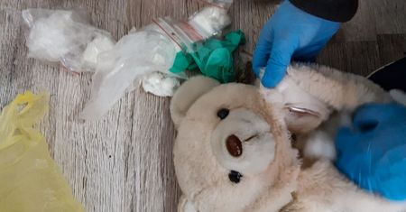 Białystok. Pluszowy miś wypełniony narkotykami znaleziony przez psa policyjnego