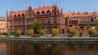 Pogoda w Bydgoszczy. Prognoza na środę 12 listopada. Rano mgły, później przejaśnienia