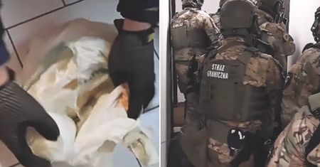 Odkrycie w paczkach z Kolumbii. Banany były tylko przykrywką