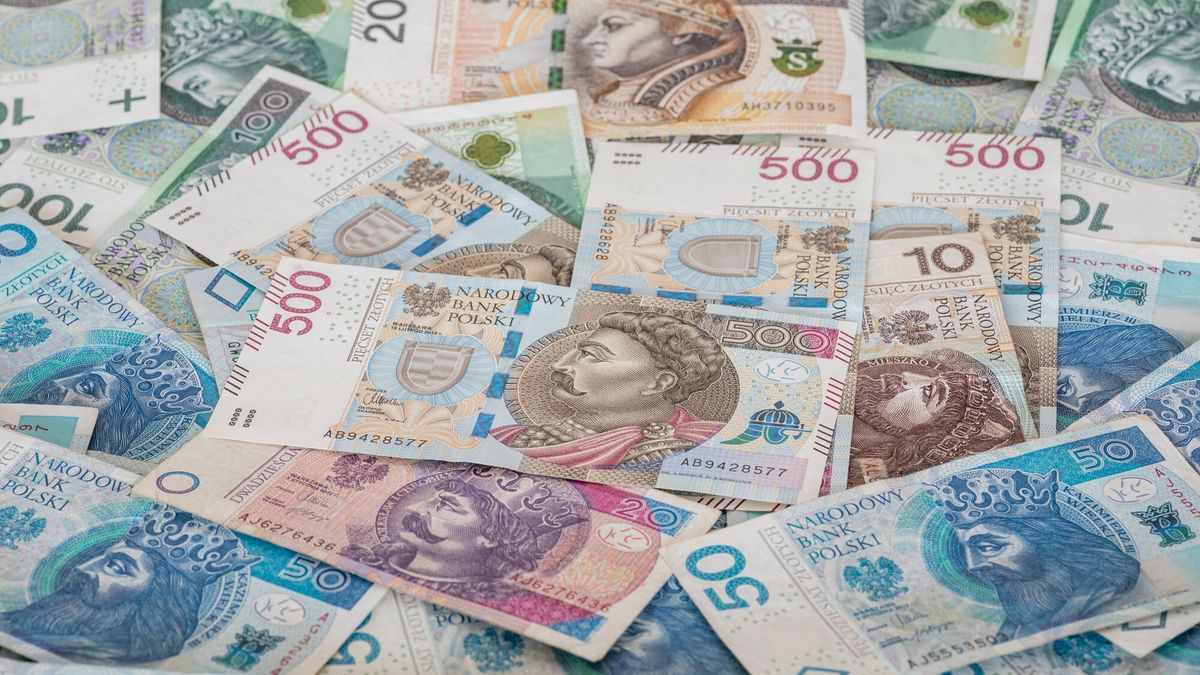 Uczestnicy PPK wypłacili ponad 486 mln zł w ramach zwrotów w trz
