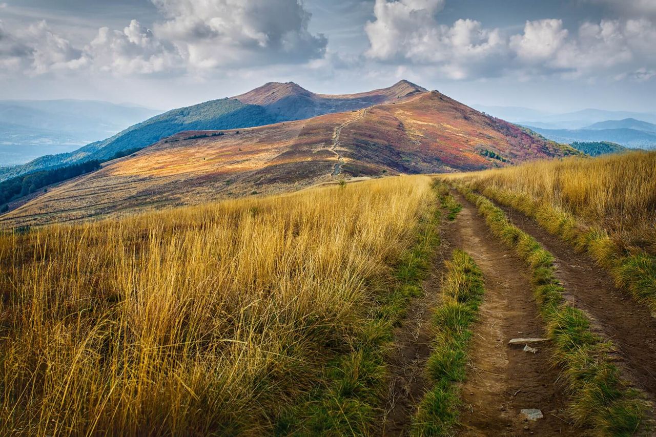 Bieszczady to idealne miejsce dla miłośników natury