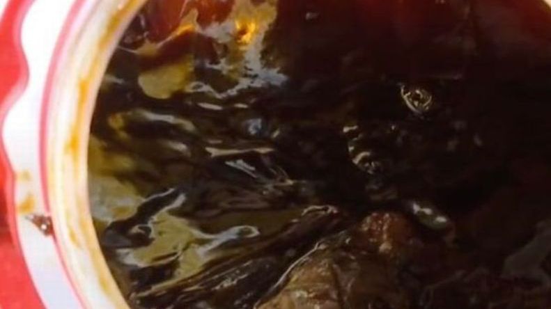  Martwy nietoperz na dnie słoika z sosem